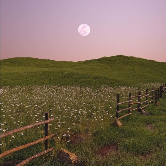 new listings soon🌱 - Picture 8 of 11